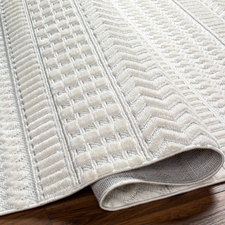 Surya Broadway BWY-2303 Area Rug Pile
