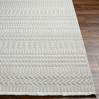 Surya Broadway BWY-2303 Area Rug Angle