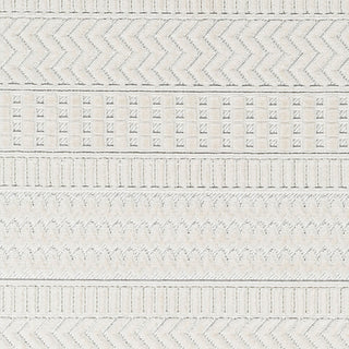 Surya Broadway BWY-2303 Area Rug Swatch