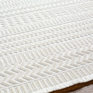 Surya Broadway BWY-2303 Area Rug Detail