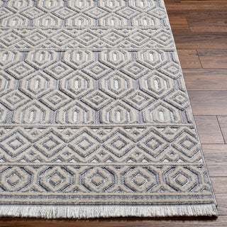 Surya Broadway BWY-2304 Area Rug Angle