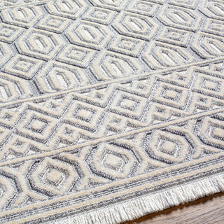 Surya Broadway BWY-2304 Area Rug Detail
