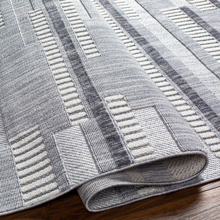 Surya Broadway BWY-2305 Area Rug Pile