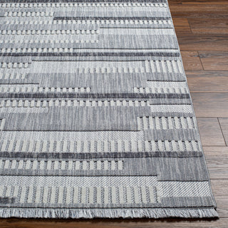 Surya Broadway BWY-2305 Area Rug Angle