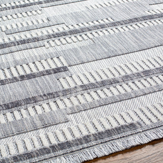 Surya Broadway BWY-2305 Area Rug Detail