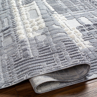 Surya Broadway BWY-2306 Area Rug Pile