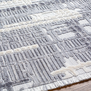 Surya Broadway BWY-2306 Area Rug Detail