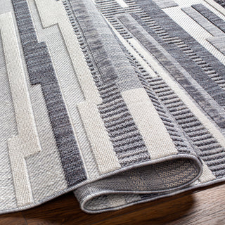Surya Broadway BWY-2307 Area Rug Pile