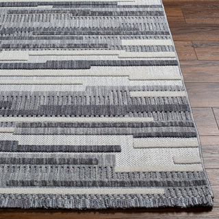Surya Broadway BWY-2307 Area Rug Angle