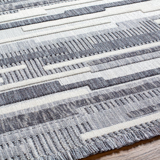 Surya Broadway BWY-2307 Area Rug Detail