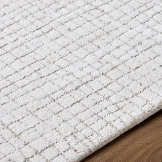 Livabliss Byram BYM-2301 Area Rug Detail