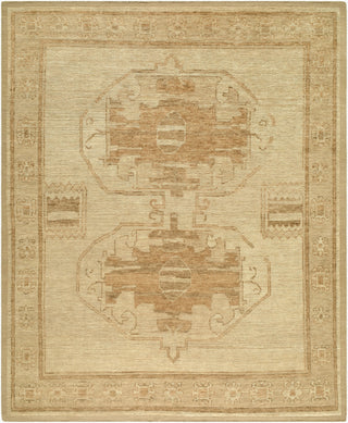 Surya Besni BZI-2300 Area Rug main image