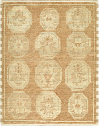 Surya Besni BZI-2301 Area Rug main image