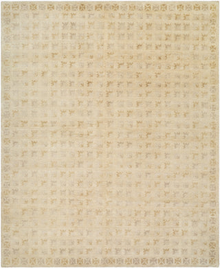 Surya Besni BZI-2303 Area Rug main image