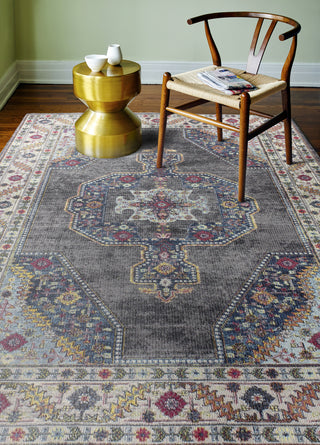 Bashian Charleston C186-R101 Grey Area Rug