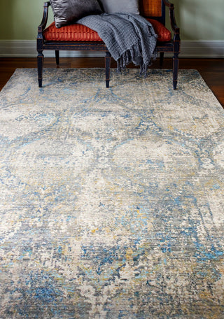 Bashian Century C192-CN111 Area Rug Room Scene Feature