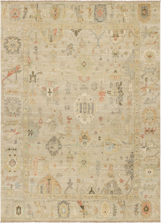 Karastan Cabrillo Iberia Light Silver Area Rug