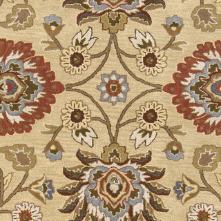 Livabliss Caesar CAE-1116 Area Rug