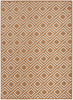 Nourison Care Free CAF03 Copper Area Rug main image