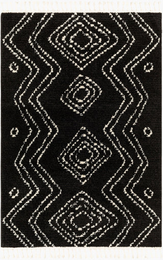 Livabliss Casablanca Shag CAG-2315 Onyx Area Rug main image
