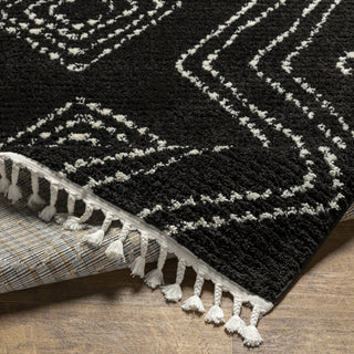 Livabliss Casablanca Shag CAG-2315 Onyx Area Rug Pile