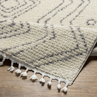 Livabliss Casablanca Shag CAG-2317 Ivory Area Rug Pile