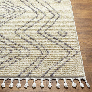 Livabliss Casablanca Shag CAG-2317 Ivory Area Rug Angle