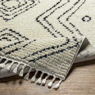 Livabliss Casablanca Shag CAG-2318 Ecru Area Rug Pile