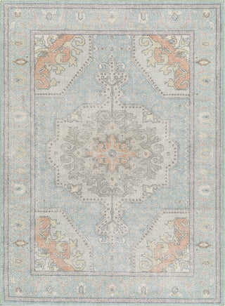 Livabliss Calhoun CAH-2300 Area Rug