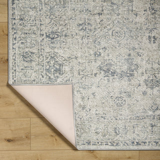 Livabliss Calhoun CAH-2301 Area Rug