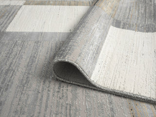 Ancient Boundaries Calos CAL-1020 Grey Area Rug Alternative Image