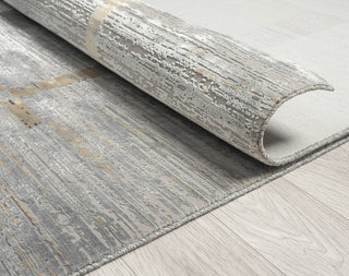 Ancient Boundaries Calos CAL-1020 Grey Area Rug Alternative Image