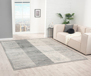 Ancient Boundaries Calos CAL-1022 Grey Area Rug Main Image