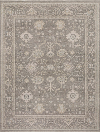 Loloi Cambridge CAM-02 Silver/Silver Area Rug Main Image