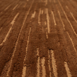 Karastan Cantada Clay Area Rug Detail Image