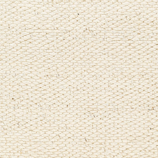 Surya Coil Bleached CBU-2300 Area Rug Swatch
