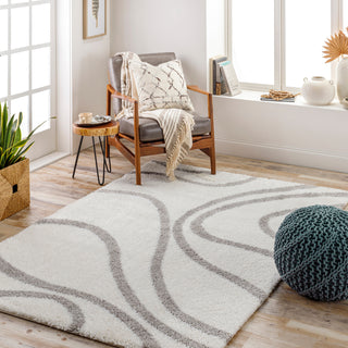 Livabliss Cloudy shag CDG-2300 Area Rug Room Scene Feature