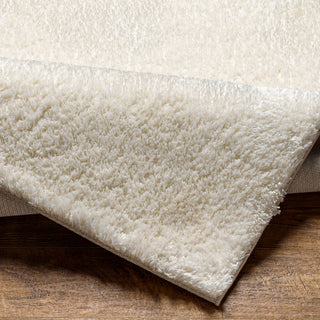 Livabliss Cloudy shag CDG-2302 Area Rug Pile