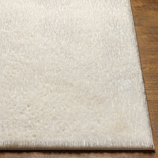 Livabliss Cloudy shag CDG-2302 Area Rug Angle