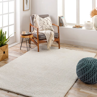 Livabliss Cloudy shag CDG-2302 Area Rug Room Scene Feature