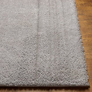 Livabliss Cloudy shag CDG-2303 Area Rug Angle