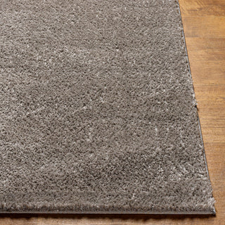 Livabliss Cloudy shag CDG-2304 Area Rug Angle