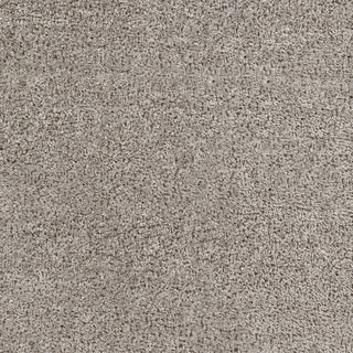 Livabliss Cloudy shag CDG-2304 Area Rug Swatch