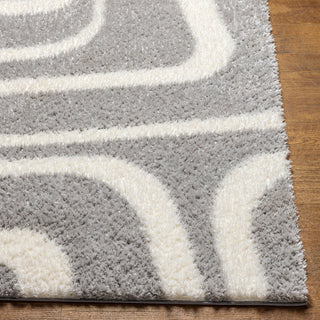 Livabliss Cloudy shag CDG-2310 Area Rug Angle