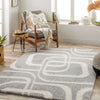 Livabliss Cloudy shag CDG-2310 Area Rug Room Scene