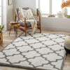 Livabliss Cloudy shag CDG-2314 Area Rug Room Scene