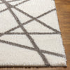 Livabliss Cloudy shag CDG-2316 Area Rug Angle