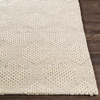 Surya Colarado CDO-2300 Area Rug Angle