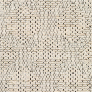 Surya Colarado CDO-2300 Area Rug Swatch