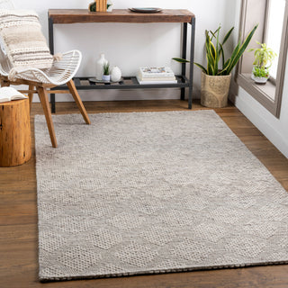 Surya Colarado CDO-2301 Area Rug Room Scene Feature